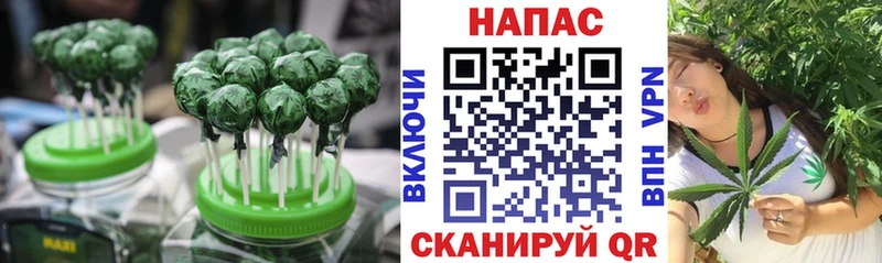 где найти   Бородино  Canna-Cookies марихуана 