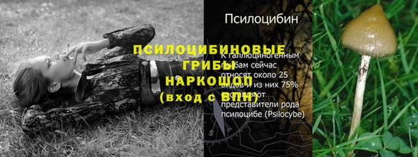 мет Баксан
