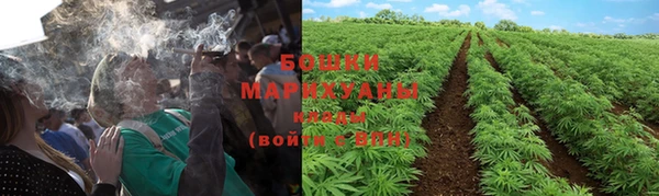 дживик Белокуриха