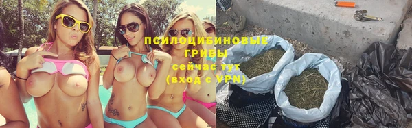 apvp Беломорск