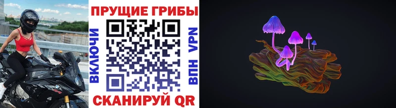 ссылка на мегу tor  Бородино  Галлюциногенные грибы MAGIC MUSHROOMS 