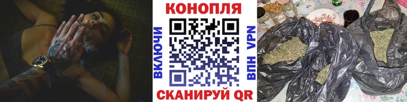 где найти наркотики  Бородино  Бошки марихуана гибрид 